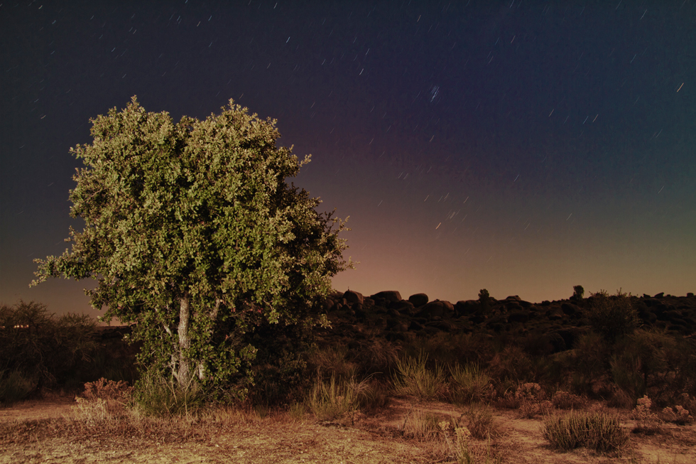 Imagen 3 de la galería de Paisajes Nocturnos